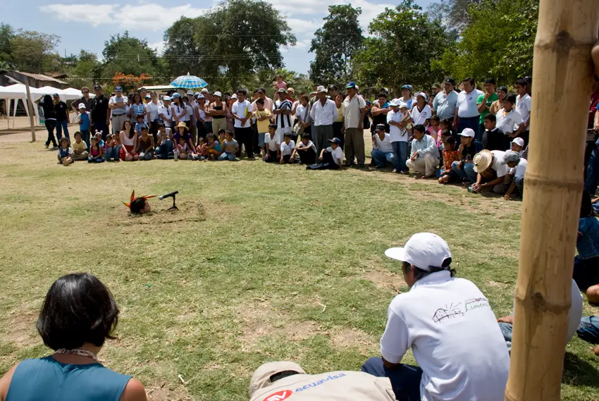 Gallo-Despescuezado-2-